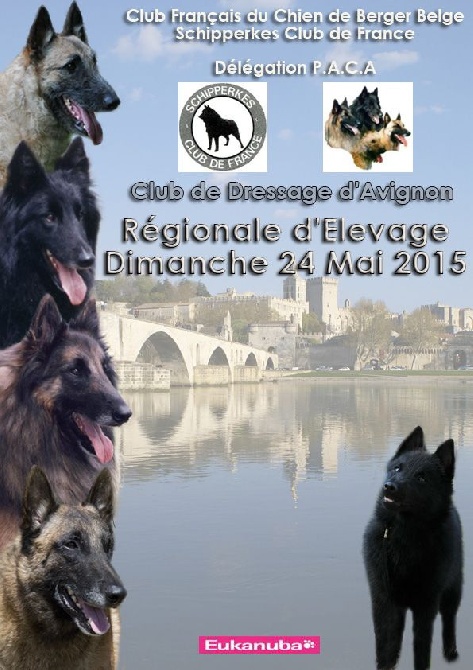 R.E. AVIGNON 24 MAI 2015